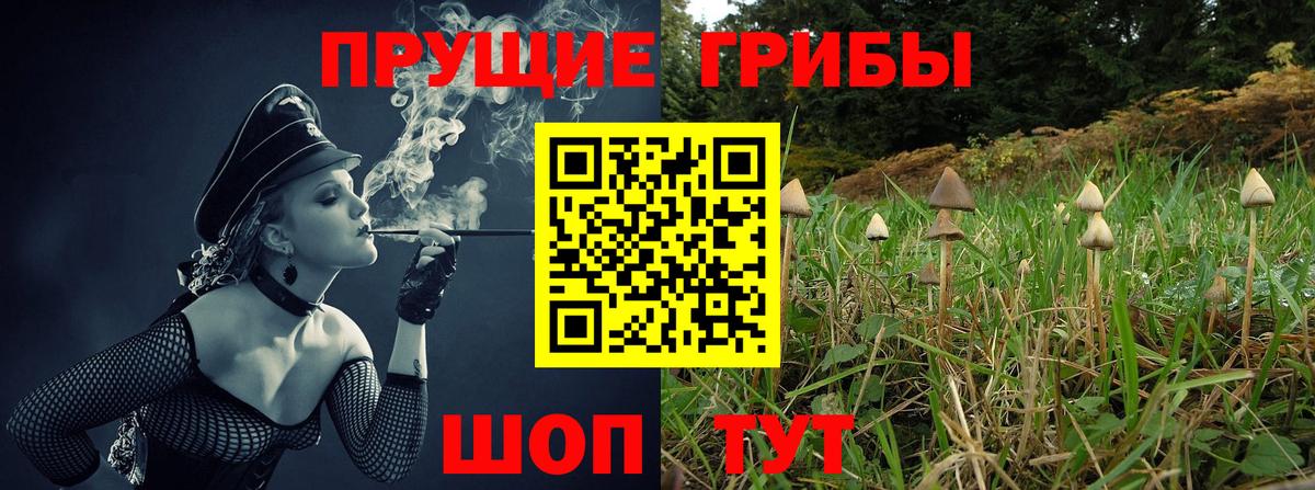 Галлюциногенные грибы Psilocybine cubensis  Вход с VPN  где купить   Галлюциногенные грибы Cubensis  Киров 